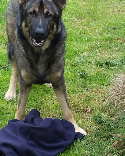 Medivet Northallerton East Rd