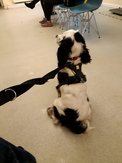 Medivet Oldham Chadderton