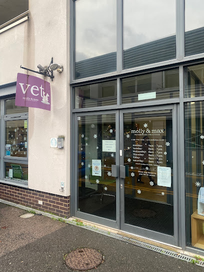 Medivet Parsons Green - Molly and Max Vets