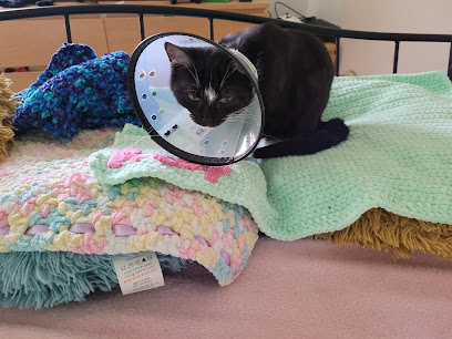 Medivet Redbourn Priory & Harpenden