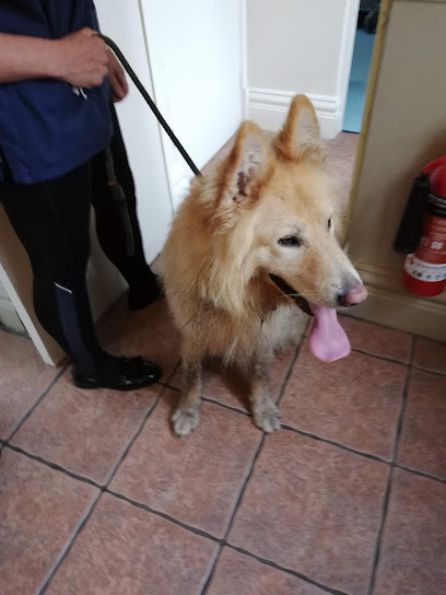 Medivet Rocester - Abbeyfields Veterinary Centre