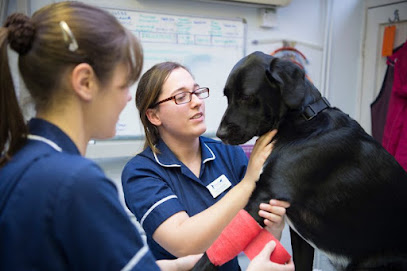 Medivet Strood - Stanhope Veterinary Centre