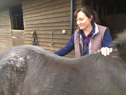 Melissa Cook Veterinary Physiotherapy