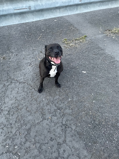 Melton Vets