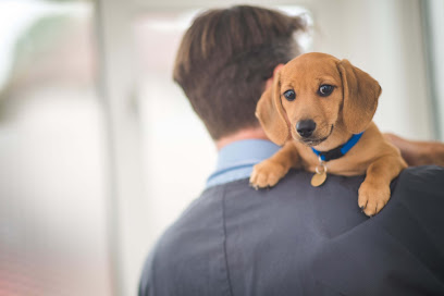 Mercer & Hughes Veterinary Surgeons