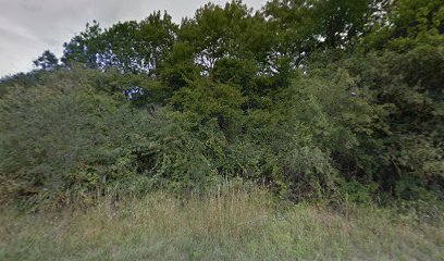 Michael Gibson - Equine veterinary Surgeon