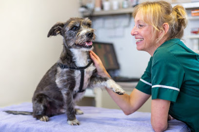Midland Veterinary Surgery