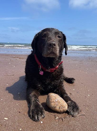 Milestone Veterinary Centre