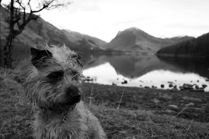 Millcroft Vets Workington