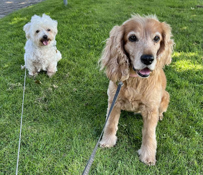 Millie's Vets