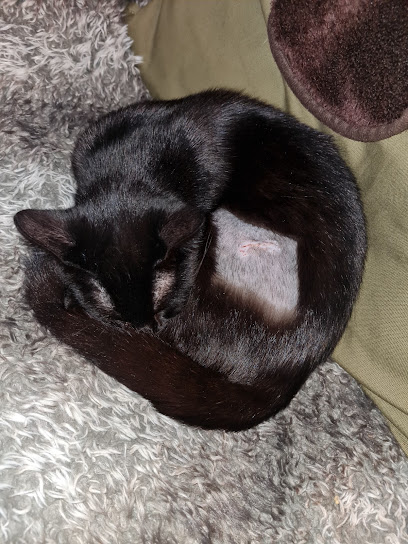 Milton Keynes Veterinary Group