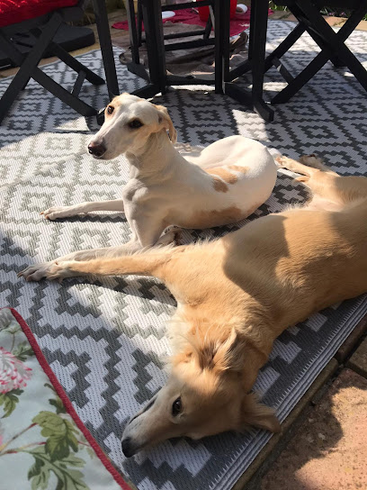 Minster Veterinary Surgery