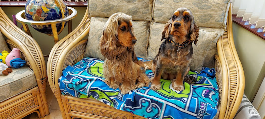 Miss H Bendelow Veterinary Surgeon