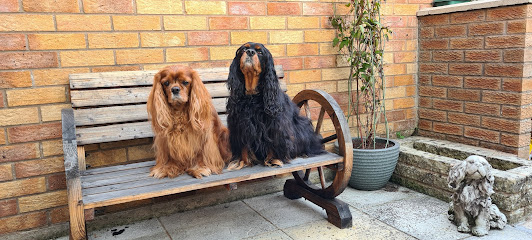 Mobile Vets Crewe Ltd