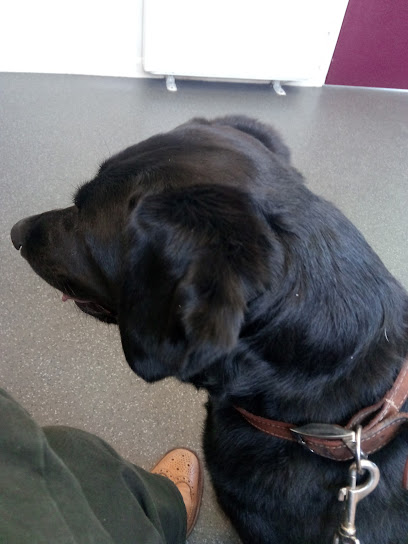 Moloney Veterinary Clinics, Dunmow Branch