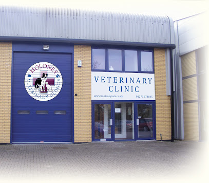 Moloney Veterinary Clinics, Takeley Branch