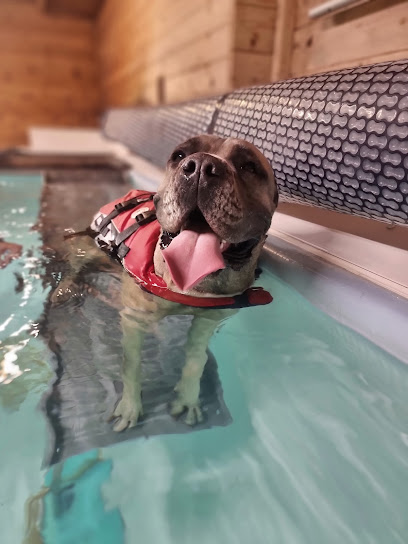 Moray Canine Hydrotherapy