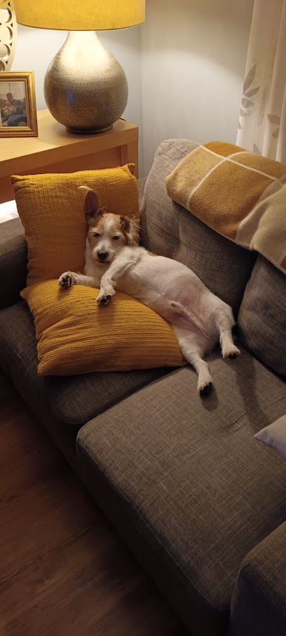 Moray Coast Vet Group