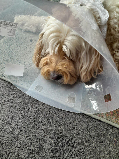 Moreton Hall Veterinary Centre