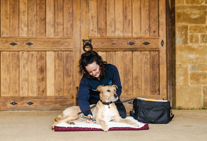 Motion Vet Physio