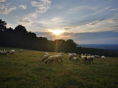 Mount Vets | Farm Vet Practice