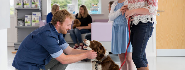 Mount Vets | Small Animal Hospital