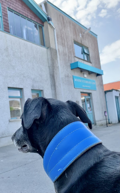 Mourne Veterinary Clinic