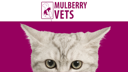 Mulberry Vets