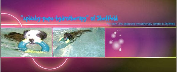 Muppets Canine Therapy