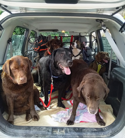 Murphy and Co Veterinary Practice