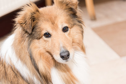 Myerscough Veterinary Group