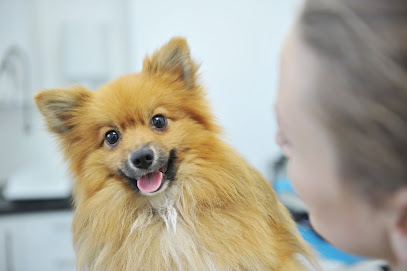 Myerscough Veterinary Group