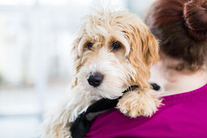 Myerscough Veterinary Group Darwen
