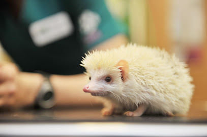 Myerscough Veterinary Group