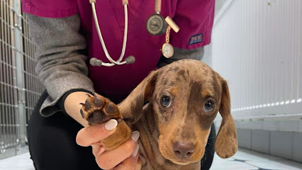 Myhousevet (mobile services)