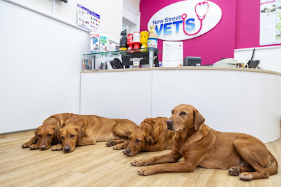 New Street Vets