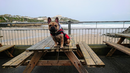 Newquay Vet