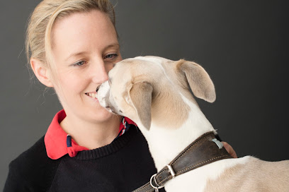 Newton Clarke Veterinary Surgeons