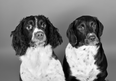 North East Hydrotherapy & Animal Rehabilitation