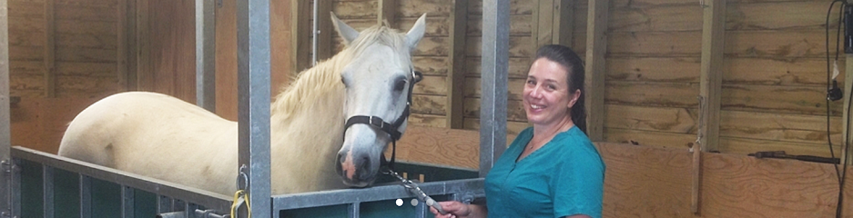 North Wales Equine Dental Practice