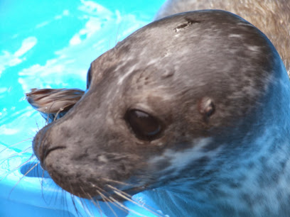 O'Connor-Pierce Veterinary Surgeons