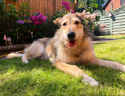 Oaks Veterinary Centre