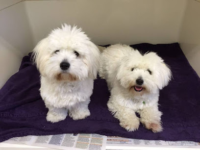 Oakwood Veterinary Surgery