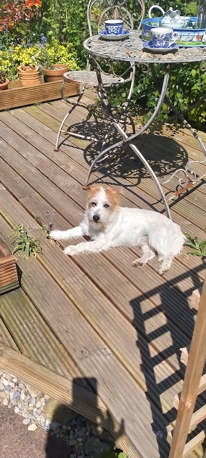 Old Hall Veterinary Centre Ltd