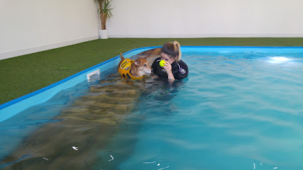 Paddle Paws Canine Hydrotherapy Norfolk
