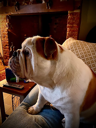 Pakefield Veterinary Clinic