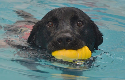 Pampurr Your Pets Canine Hydrotherapy Ltd