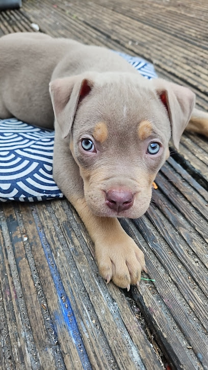Park Veterinary Group, Pontypridd