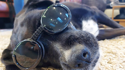 Passionate About Pets Animal Physiotherapy