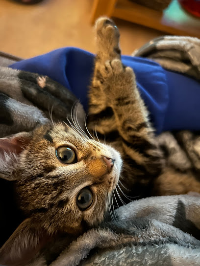 Peak Vets - Sheffield